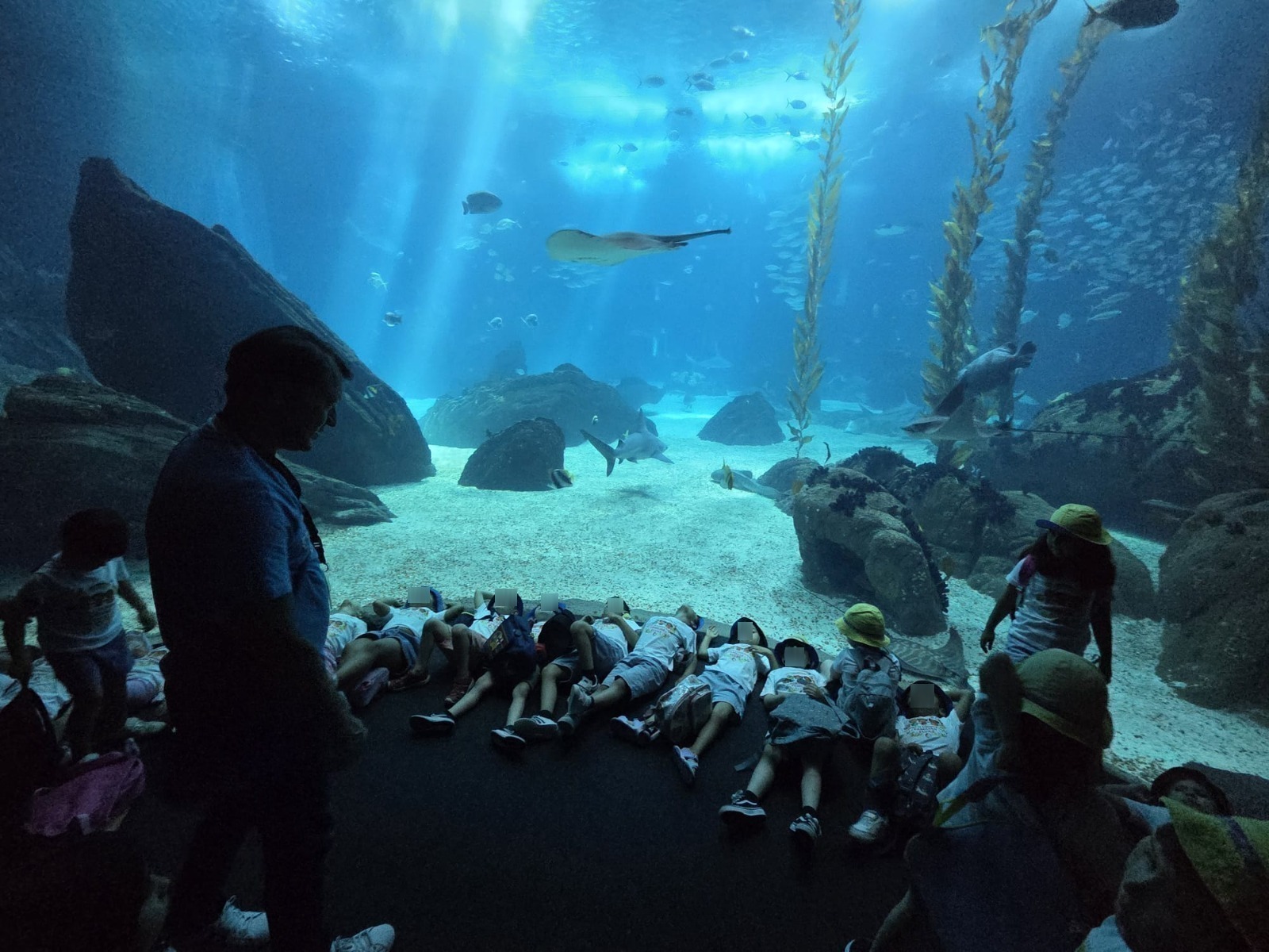 Entre oceanos de descoberta e horizontes de imaginação